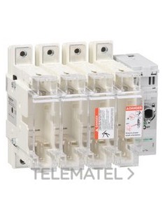 INTERRUPTOR SECCIONABLE FUSIBLE 4x250A 1