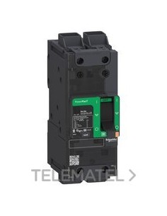 INT.POWERPACT BD 18kA TM80D 2P ELINK