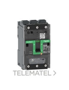 INT.NSXm100N 50kA AC 3P 40A TMD EVERLINK