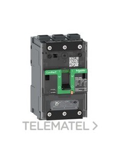 INT.NSXm100H 70kA AC 3P 25A TMD EVERLINK