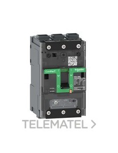 INT.NSXm100F 36kA AC 3P 25A TMD EVERLINK