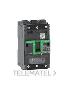 INT.NSXm100B 25kA AC 3P 25A TMD EVERLINK