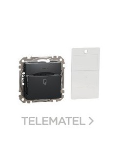 INTERRUPTOR DE TARJETA 10AX ANTRACITA