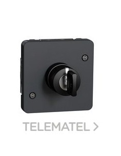 INT.LLV.3 POS.MUREVA STYL COLOR GR