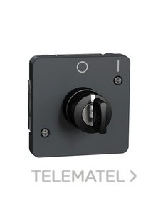 INT.LLV.2 POS.MUREVA STYL COLOR GR