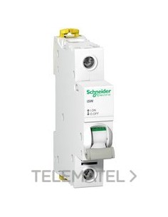 INTERRUPTOR CARGA ISW 1P 100A