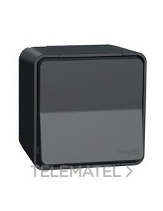 INTERRUPTOR BIPOLAR SUPERFICIE GRIS