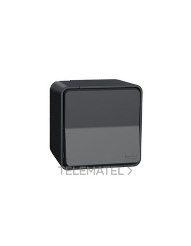 INTERRUPTOR BIPOLAR SUPERFICIE GRIS