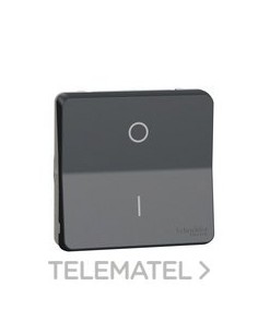 INTERRUPTOR BIP.MUREVA STYL COLOR GR