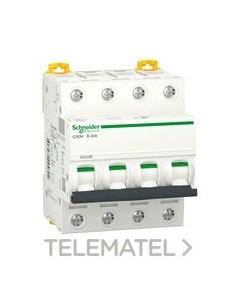 MAGNETOT.iC60H 4P 40A CURVA-B