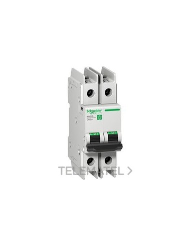 AUT.MINI.C60N UL489 2P CV.D 25A BOX