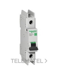 AUT.MINI.C60N UL489 1P CV.D 25A BOX