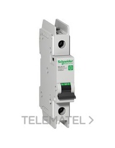 AUT.MINI.C60N UL489 1P CV.D 1A BOX