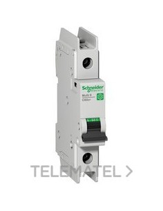 AUT.MINI.C60N UL489 1P CV.C 6A BOX