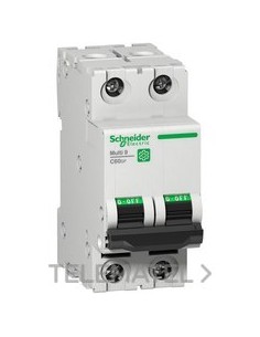 AUT.MINI.C60N UL1077 2P CV.D 25A BOX