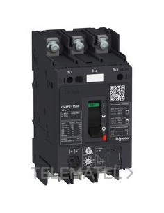 DISY.MAG.TMCO.GV4PE 80A 100kA C/TERM.