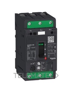 DISY.MAG.TMCO.GV4PE 2A 50kA EVERLINK