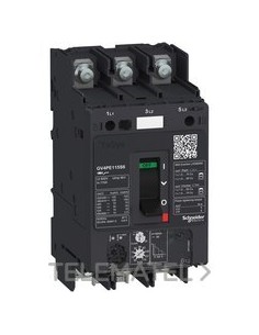 DISY.MAG.TMCO.GV4PE 115A 50kA C/TERM.