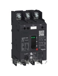 DISY.MAG.TMCO.GV4PE 115A 100kA C/TERM.