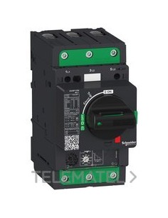 DISY.MAG.TMCO.GV4P 80A 100kA EVERLINK