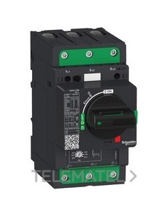 DISYUNTOR MAG.GV4L 25A 50kA EVERLINK