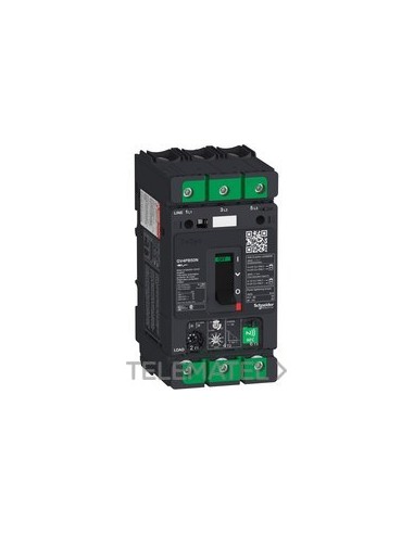 DISYUNTOR GV4P TERM/MAG UL489 50A 50kA E