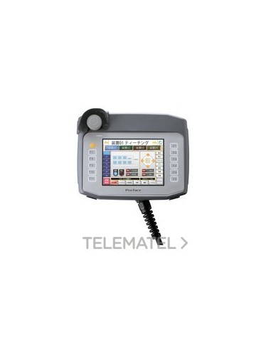 DPLY.5,7" TFT COLOR HANDY GR EMERG.+LLV.