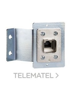 CONECTOR RJ45 CON PLACA MONTAJE