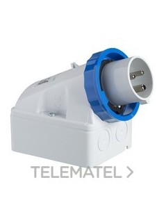 CLAVIJA MURAL 32A 2P+TT 200-250V IP67