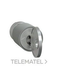 CERRADURA IP55 + 2 LLAVES 3113A