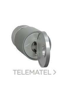 CERRADURA + 2 LLAVES 455