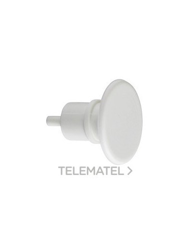 CAPSULA COLOR BLANCO