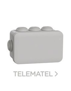 CAJA RTGLAR.65x105x55 8 CONOS E20