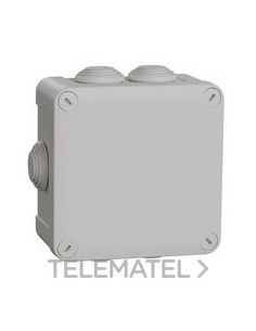 CAJA RTGLAR.105x105x55 7 CONOS E25T