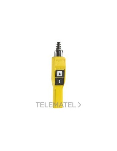 CAJA COLGANTE CON 2 PULSADORES