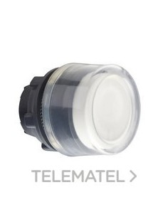 CABEZAL XB5 P/PULS.NO ILUMINADO BL CUSTO