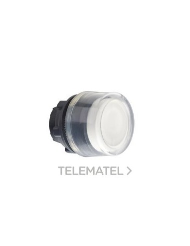 CABEZAL XB5 P/PULS.NO ILUMINADO BL CUSTO