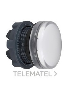 CABEZA XB5 P/PIL.LUMIN.LED BL CUSTO