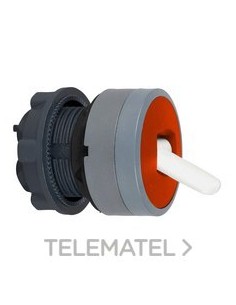 CABEZA SEL.XB5 PAL.RJ 2 POS.FJA.GR