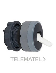 CABEZA SEL.XB5 PAL.NG 2 POS.FJA.GR