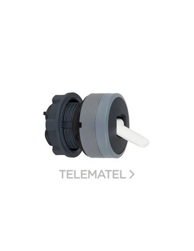 CABEZA SEL.XB5 PAL.NG 2 POS.FJA.GR