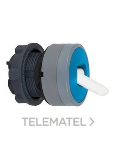 CABEZA SEL.XB5 PAL.AZ 2 POS.FJA.GR