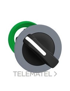 CBZA.SEL.XB5 MONT.ENRAS.NG 2 POS.FJA.GR