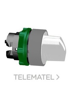 CABEZA SEL.XB5 BL 2 POS.FJA.GR