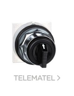 CABEZA SEL.NG d.30 3 POSS.FJA.