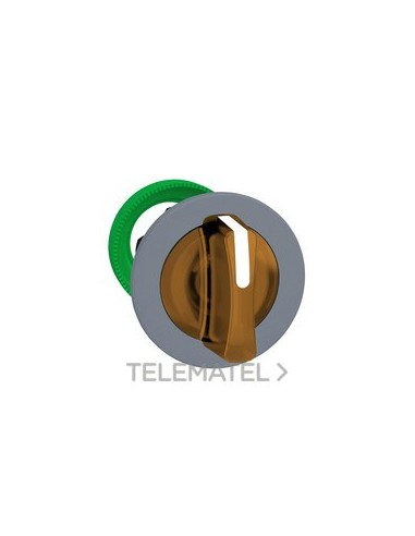 CBZA.SEL.LUMIN.XB5 MONT.ENRAS.NJ.3 POS