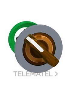 CBZA.SEL.LUMIN.XB5 MONT.ENRAS.NJ.2 POS