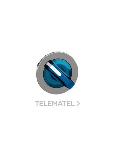 CBZA.SEL.LUMIN.XB4 MONT.ENRAS.AZ 2 POS