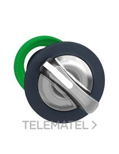 CABEZA SEL.FLUSH LUMIN.BL 2 POSS.FJA.