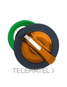 CABEZA SEL.FLUSH LUMIN.NJ.2 POSS.FJA.